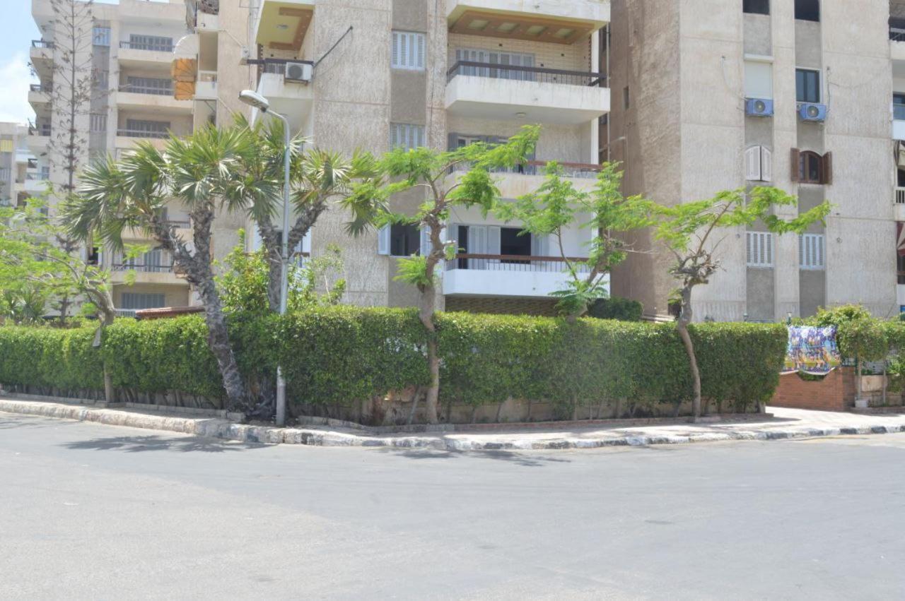Apartment Maamoura 1