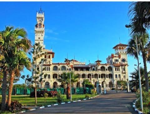 Maamoura 1 Alexandria